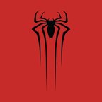 Spider Enigma