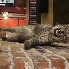 Top OnlyFans creator in USA - Spermy Loads