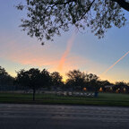 Top OnlyFans creator in Illinois - MK