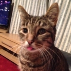 Top OnlyFans creator in London, United Kingdom - Mister Sparky