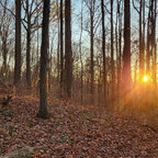 Top OnlyFans creator in United States - That one dude