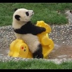 Top OnlyFans creator in East Midlands, England - Theacutep4nda