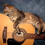 Top OnlyFans creator in Ontario, Canada - tigerm