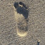 Top OnlyFans creator in USA - Toe_patie_feet