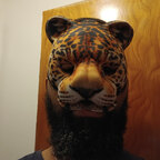 BlackTiger