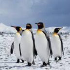 Top OnlyFans creator in manchester - u479381