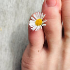 Logan foot
