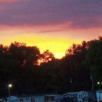 Nature's beauty