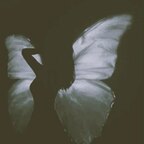 Mariposa