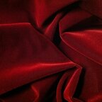 Nat Velvet 🌹