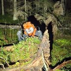 FoxTheKettu