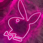 Bunnyy
