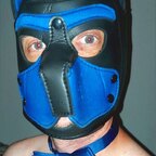 Falco_slave