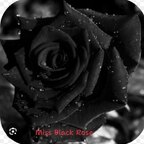 Miss BlackRose