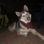 Sam