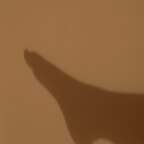 Top OnlyFans creator in Wales - Velvetfootfems — Wales profile photo