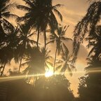 Top OnlyFans creator - Danre kib — Unknown profile photo