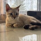 Top OnlyFans creator in Stuttgart - EJS