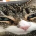 Top OnlyFans creator - Drew Symbol