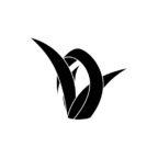 Top OnlyFans creator in The Netherlands - VelvOr